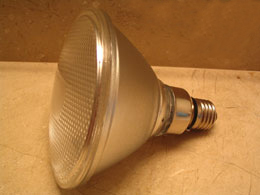 Extreme LED Flood Lamp