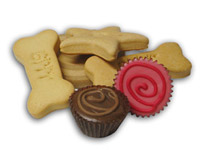 InstaGlow LED Dog Biscuits