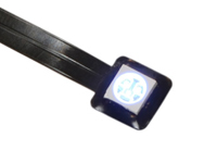 12v LED Prewired Scion
