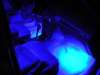 Flexible LED Strips