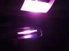 Superflux LED Dome Light