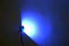 High Intensity LED Flood