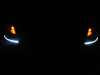 Flexible LED Strips