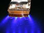 High Intensity LED Flood