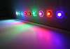 Prewired Superflux 4 Chip LEDs