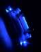 High Intensity LED Flood