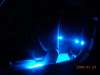 Flexible LED Strips