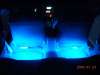 Flexible LED Strips