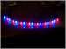 Flexible LED Strips