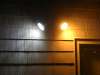 Extreme LED Flood Lamp