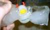 Ozzy Oznium Duck