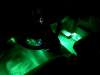 Flexible LED Strips