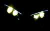 Flexible LED Strips