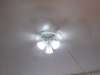 X5 LED Reading Bulb