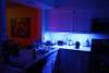 Ribbon LED Strips - 16 Foot Roll