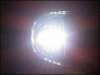 Prewired Superflux 4 Chip LEDs