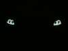 Flexible LED Strips