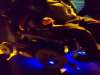 Flexible LED Strips