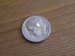 1206 Surface Mount LEDs