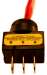 Illuminated Wedge Toggle Switch