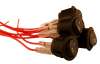 Round Rocker Switch