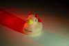 Ozzy Oznium Duck