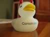 Ozzy Oznium Duck