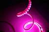 Flexible LED Strips