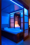 LED Spa Blue Light Chromatherapy Relaxing