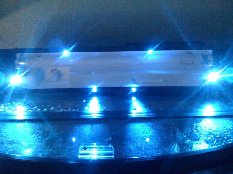 Aquarium light with one blue superflux on each end and 4 in the middle
