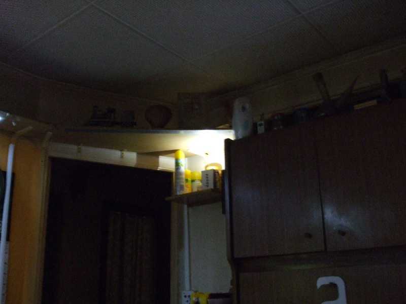 Single cool white, on top of 12v solar lights switchbox. All night on with my solar 12v system.