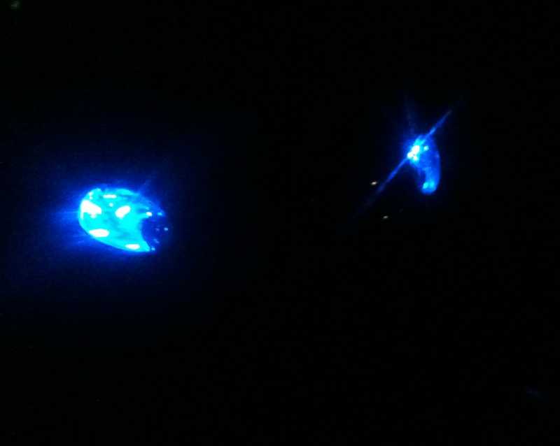 Installed in my Neon's headlights Teh_W