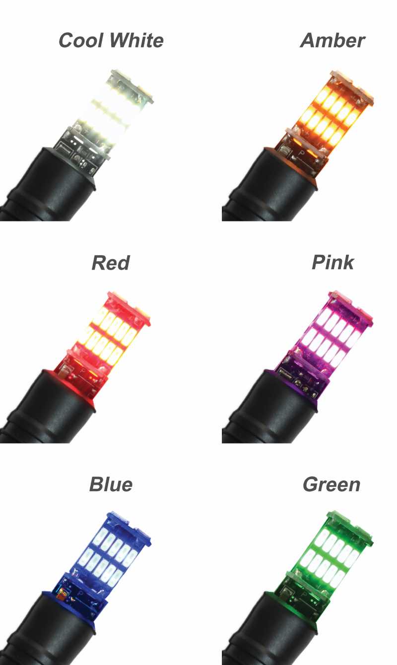 Colors